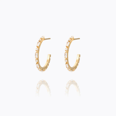 Evelyne loops Gull
