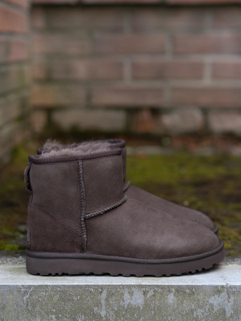 Classic Mini Dusted Cocoa Brun