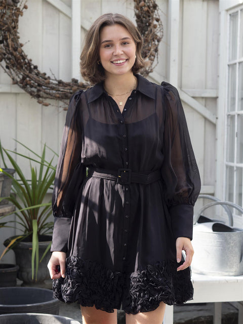 Organza Mini Dress Sort