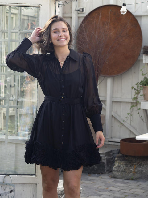 Organza Mini Dress Sort