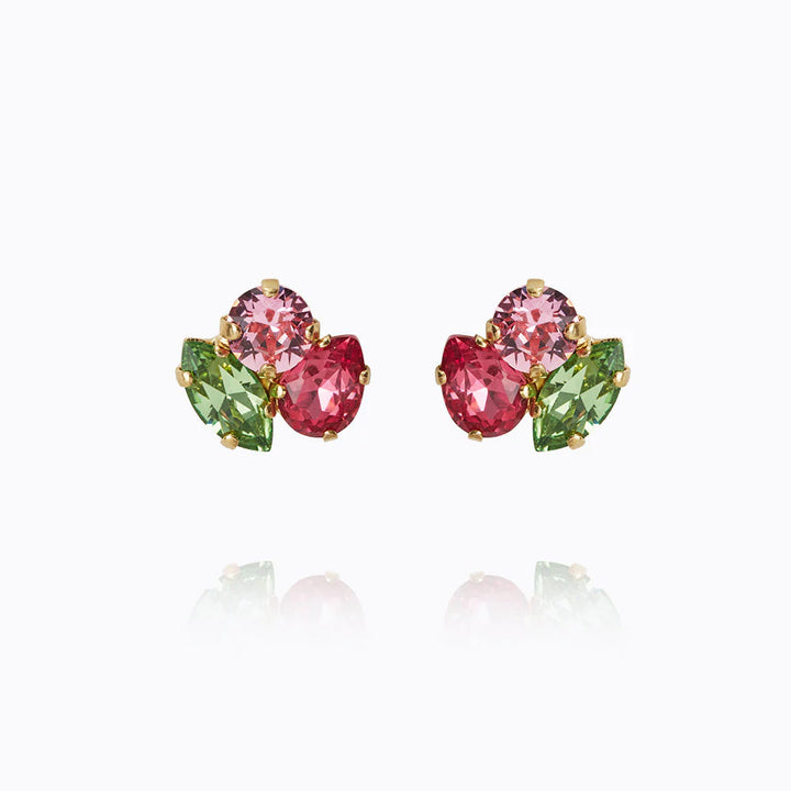 Ana Earrings Multi