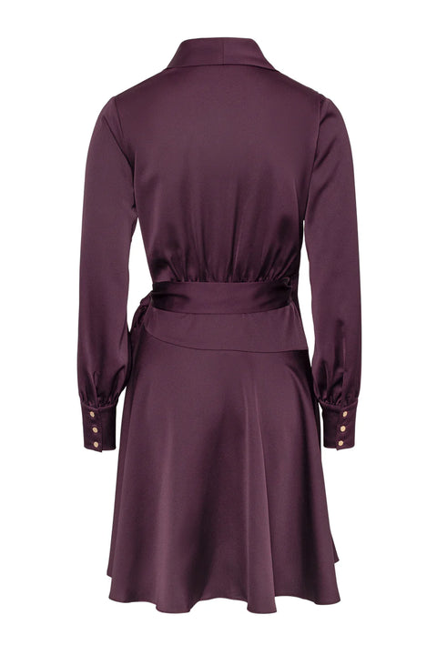 Iza mini dress Burgunder