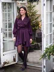 Iza mini dress Burgunder