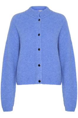 Alpha cardigan Blå