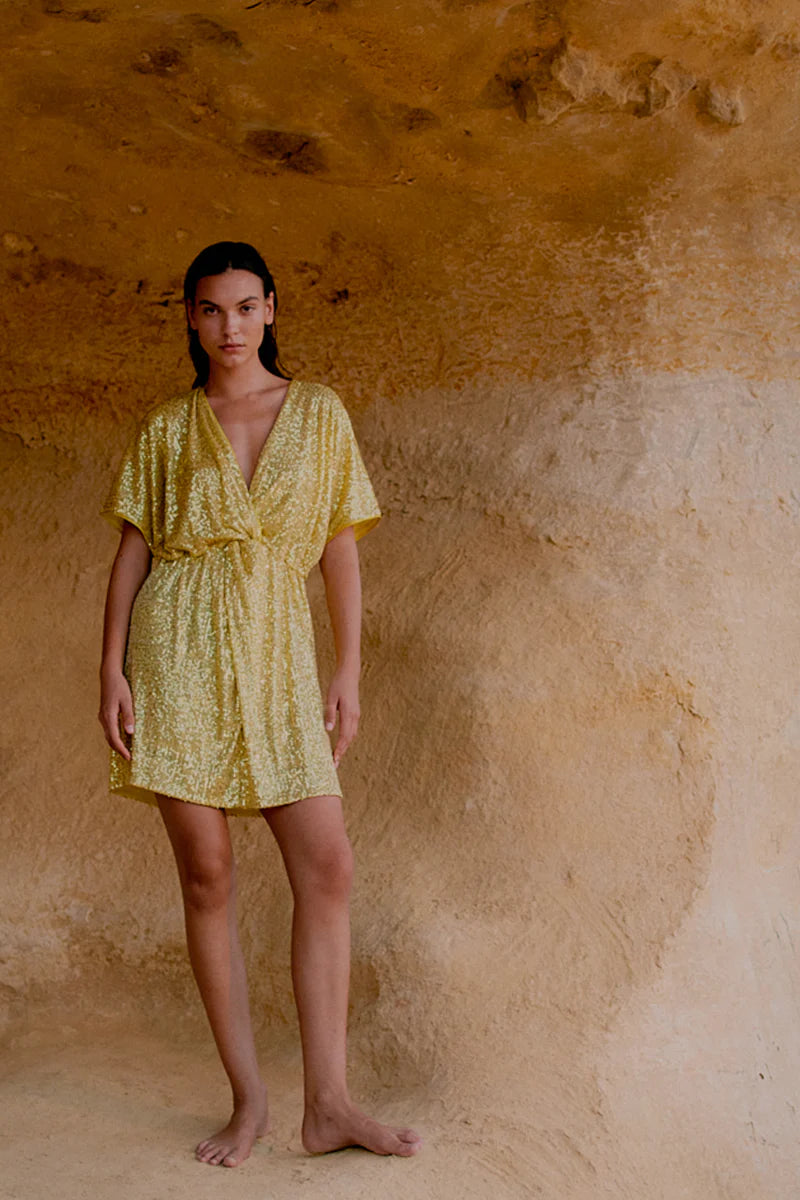 Shine mini dress Gul