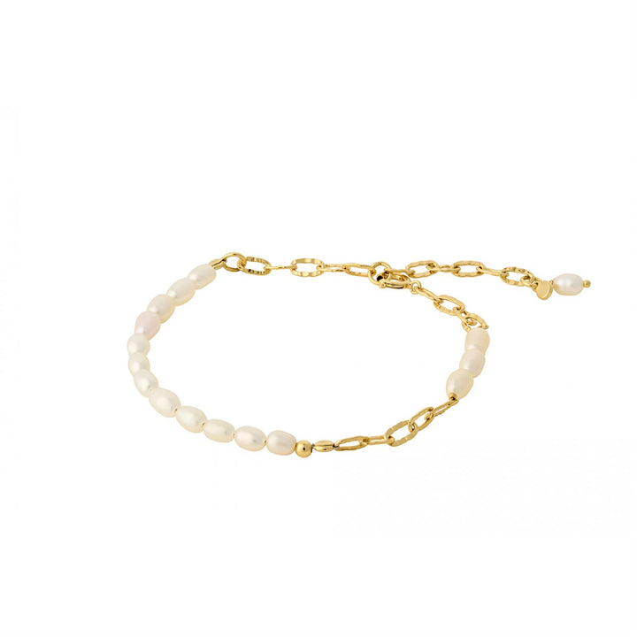 Seaside Bracelet Gull