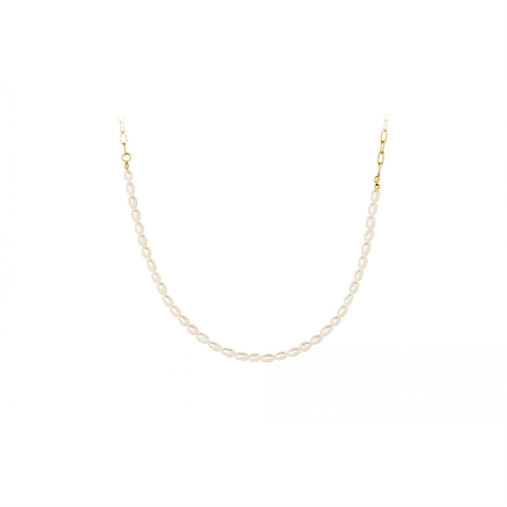 Seaside Necklace Gull
